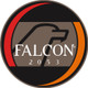 Falcon Safety