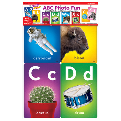 Trend ABC Photo Fun Learning Set (t19007) | Beach Audio
