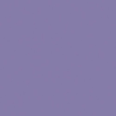 Construction Paper, Violet, 12 x 18, 50 Sheets - PAC7207, Dixon  Ticonderoga Co - Pacon