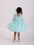 JANYAS CLOSET Blue Embellished Kayo Princess Party Dress