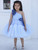 Ready to Ship: Janyas Closet Ice Princess Birthday Party Dress