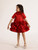 JANYAS CLOSET Fantasy Blooms Baby Dress in Red