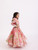 JANYAS CLOSET Peach Pink Printed Floral Poppies Top With Skirt Lehenga