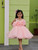 Pink Ciara Barbie Dress with Hair Accessory