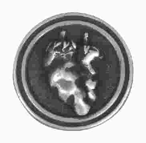 Brushed Satin Pewter Knob
L-PBF670-BSP-C