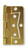 Brass Plated Non-Mortise Hinge