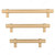 Richelieu Modern Metal Pull - 5016 - Champagne Bronze - 96 mm