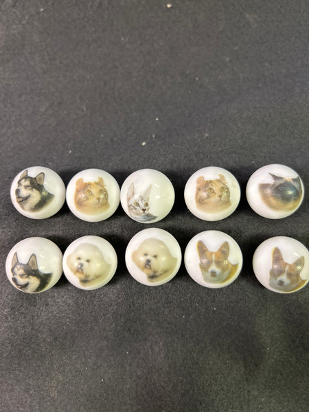 (10-pc) Cat Dog Assorted Marbles AS-IS