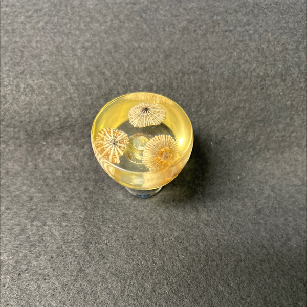 LQ-PN0766-CHR-C
