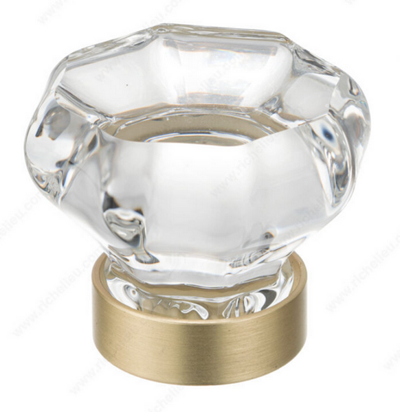 Eclectic Crystal and Metal Knob - 1007