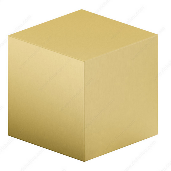 Richelieu Modern Metal Knob - 7981 - Brushed Gold - 25 mm