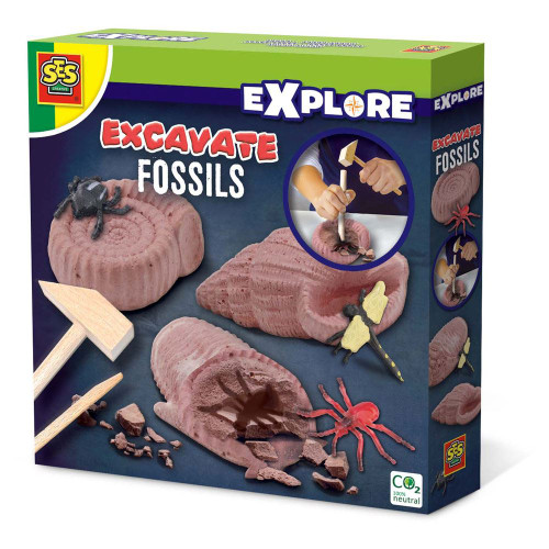 Children's Explore Excavate Fossils Unisex Four Years and Above Multi-colour