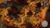 Shadow Tactics Blades of the Shogun Xbox One Game