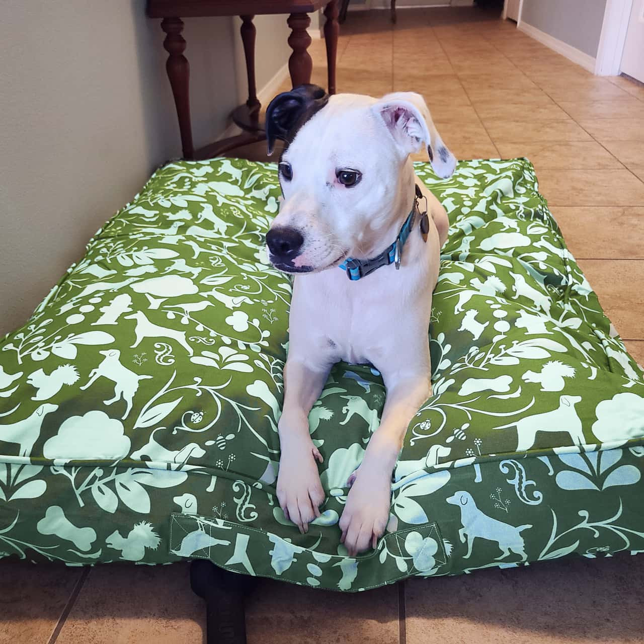 Green 100% Cotton Dog Bed Cover - Non-toxic Replacement Covers