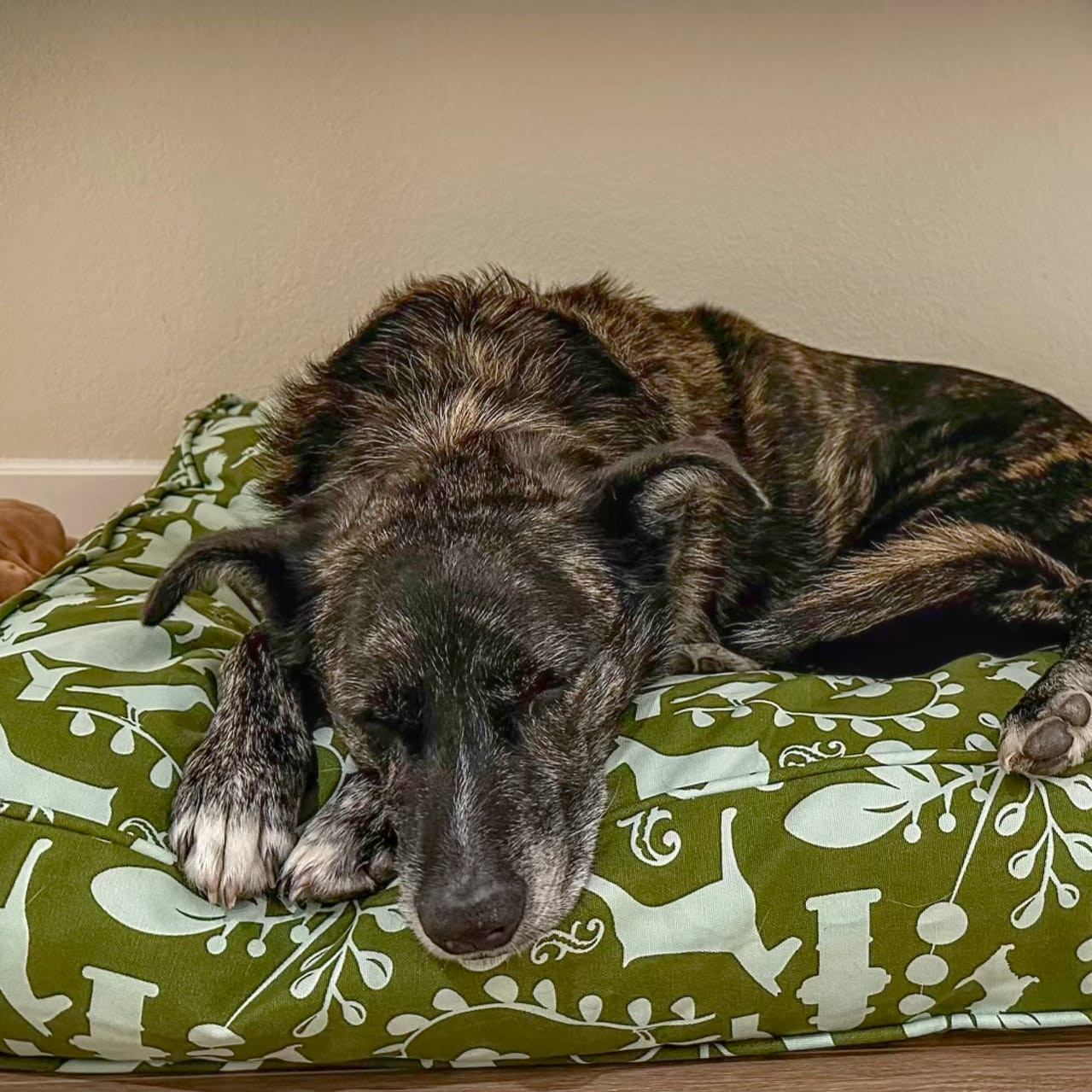 Green 100% Cotton Dog Bed Cover - Non-toxic Replacement Covers