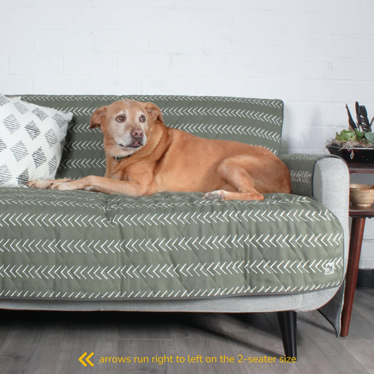 Muted Green Non-Slip Furniture Protector Couch Cover for Dogs