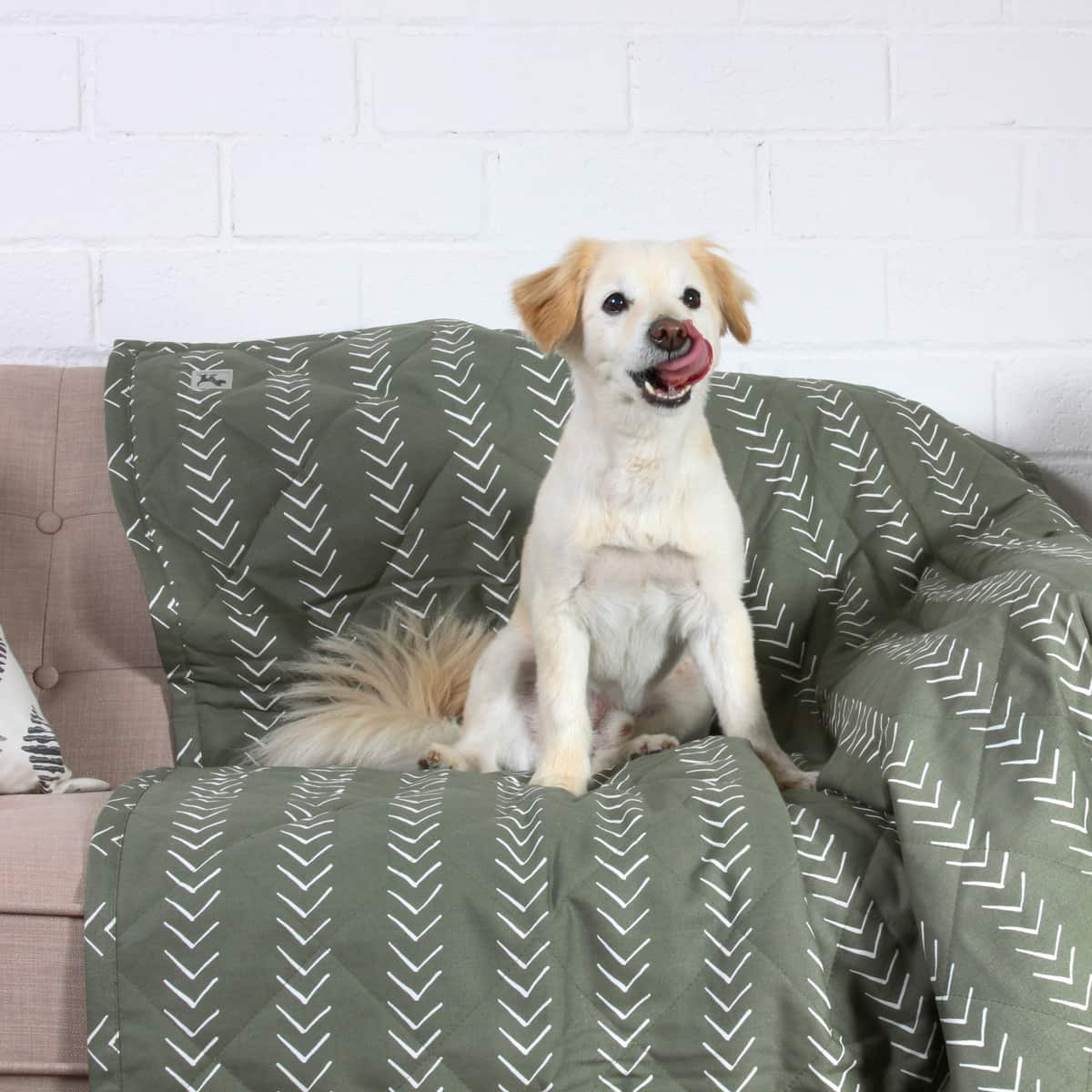 Muted Forest Green Dog Blanket and Pet Furniture Cover - 100 Muted Forest Green Dog Blanket and Pet Furniture Cover - 100