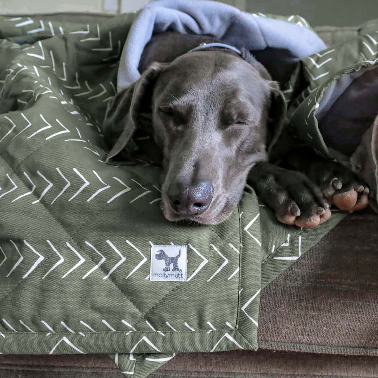 Muted Forest Green Dog Blanket and Pet Furniture Cover - 100