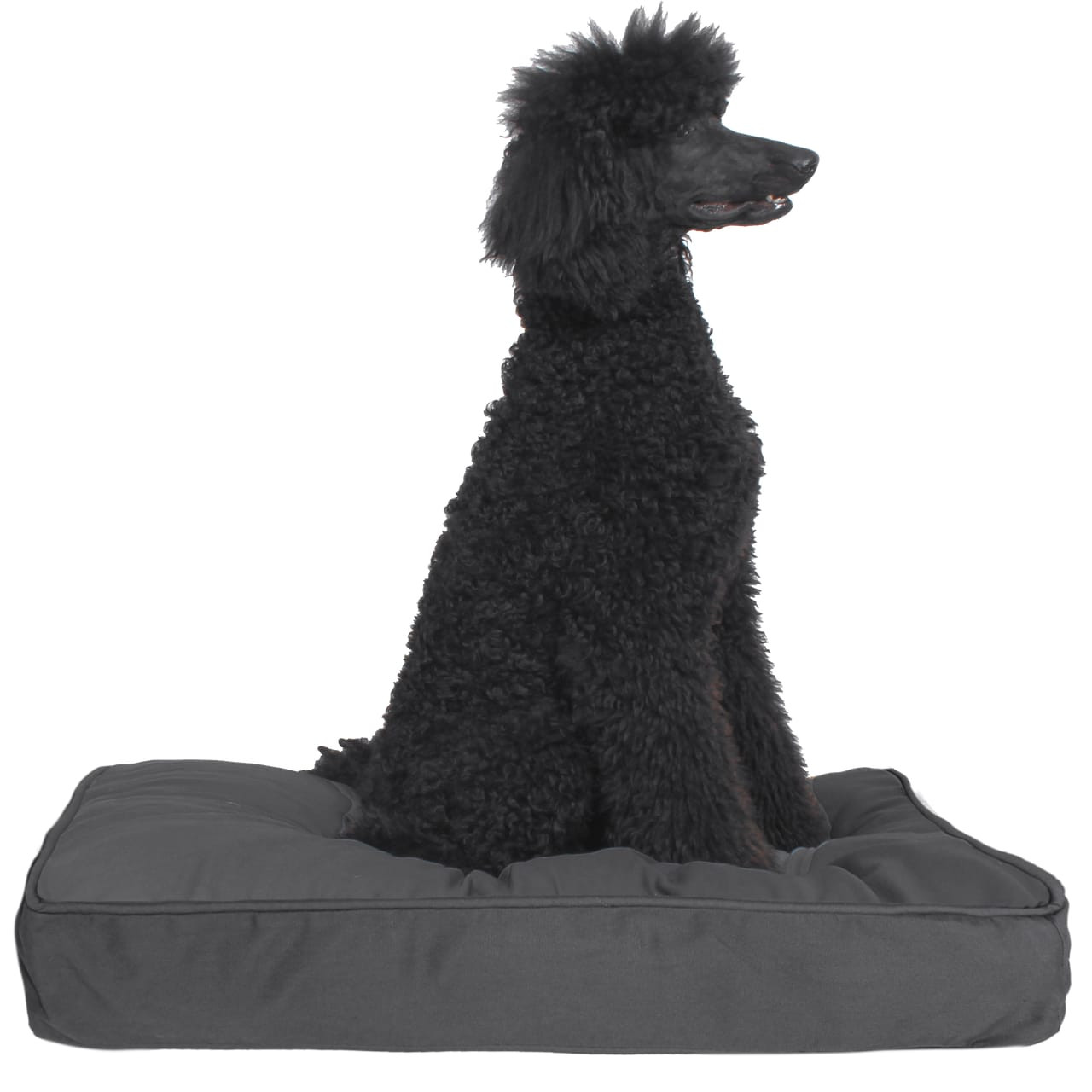 Solid Gray 100 Cotton Dog Bed Cover Nontoxic Replacement Covers