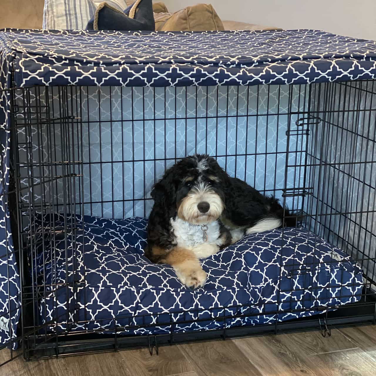 Molly mutt hot sale crate covers