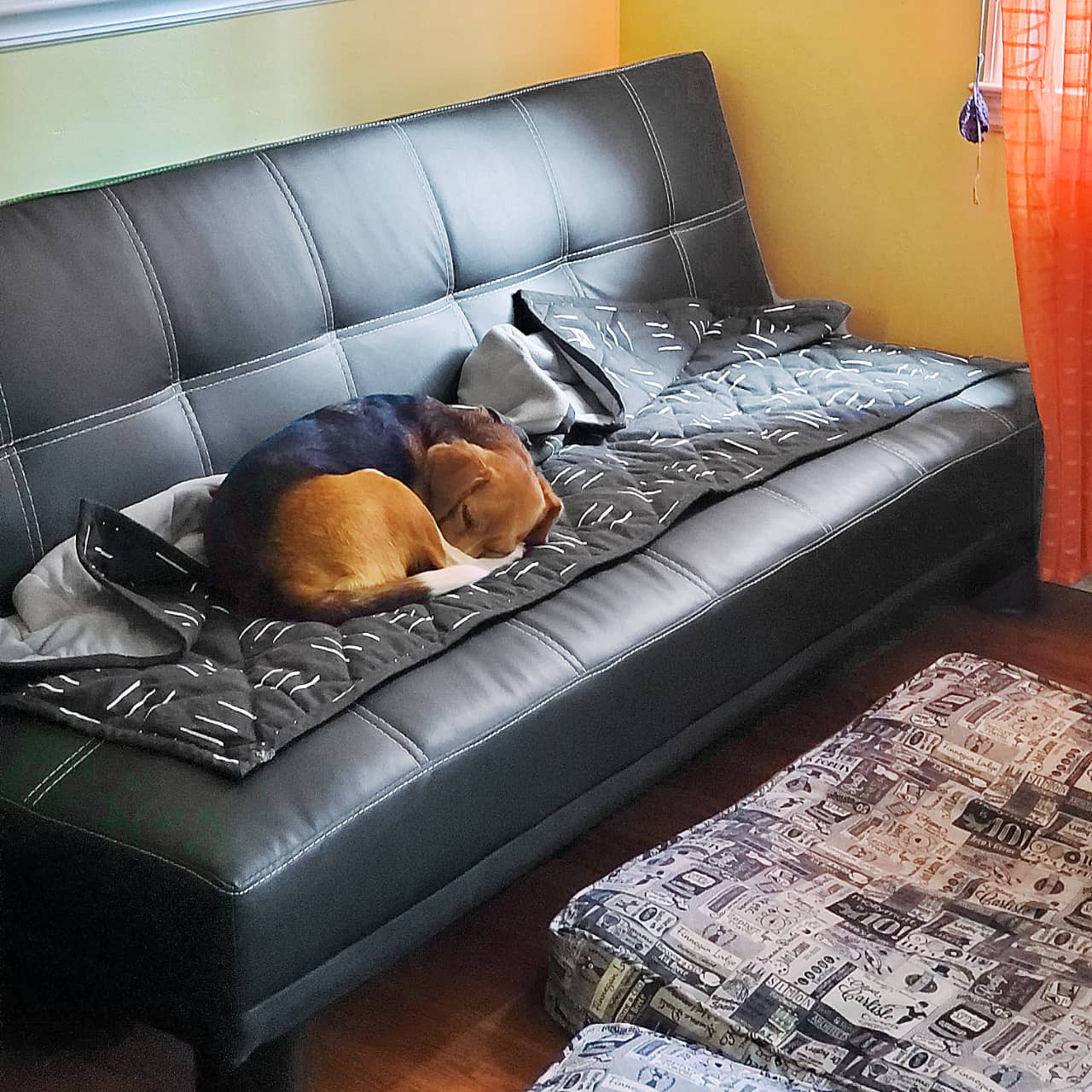 【VAULTROOM】DOG & DUCK BLANKET DOG & DUCK BLANKET – VAULTROOM