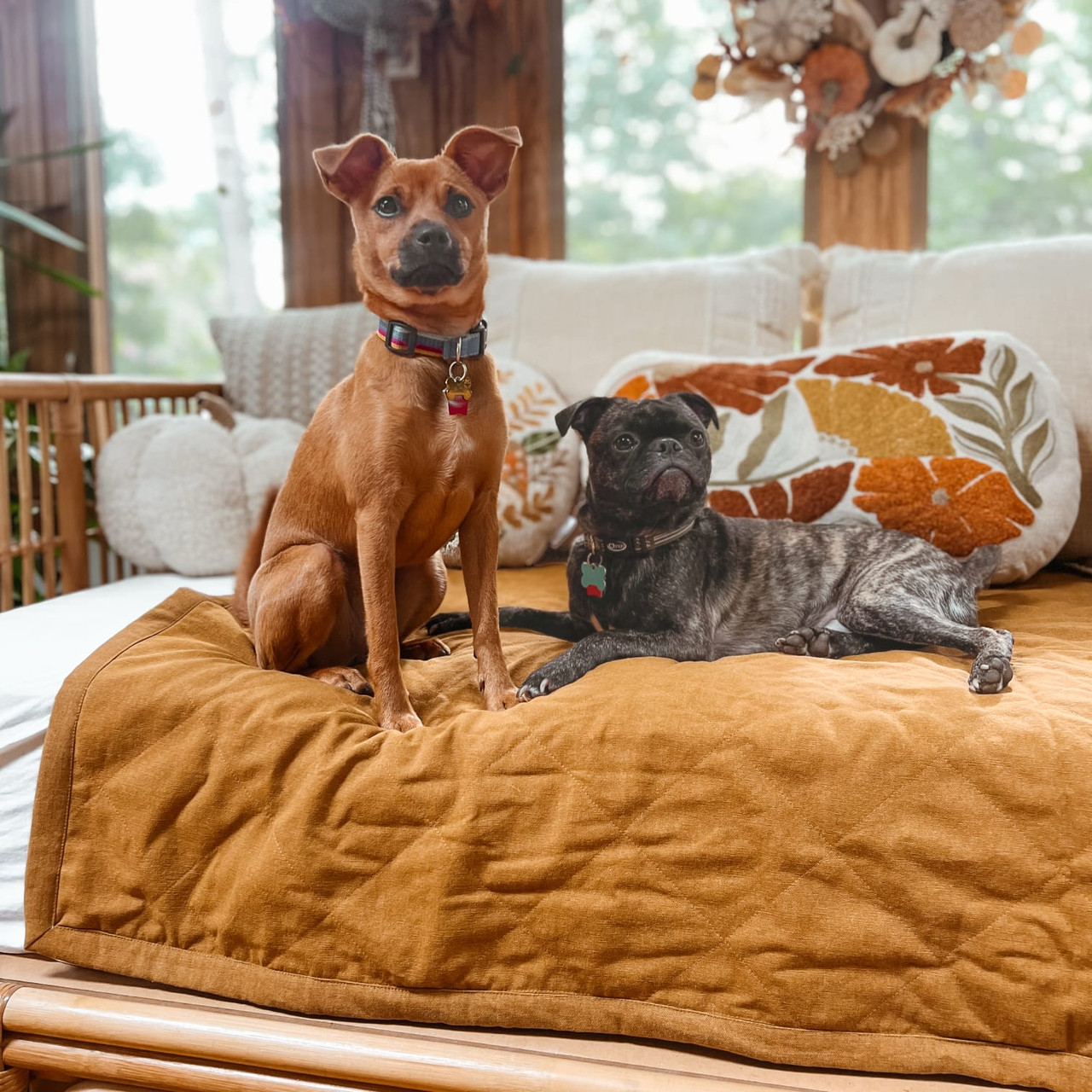 Mustard Brown Dog Blanket and Pet Furniture Cover - 100% Cotton