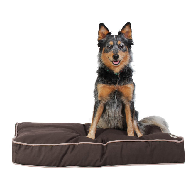 dog bed cover