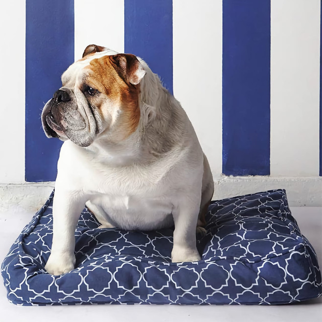 blue and white dog bed cover blue and white dog bed cover