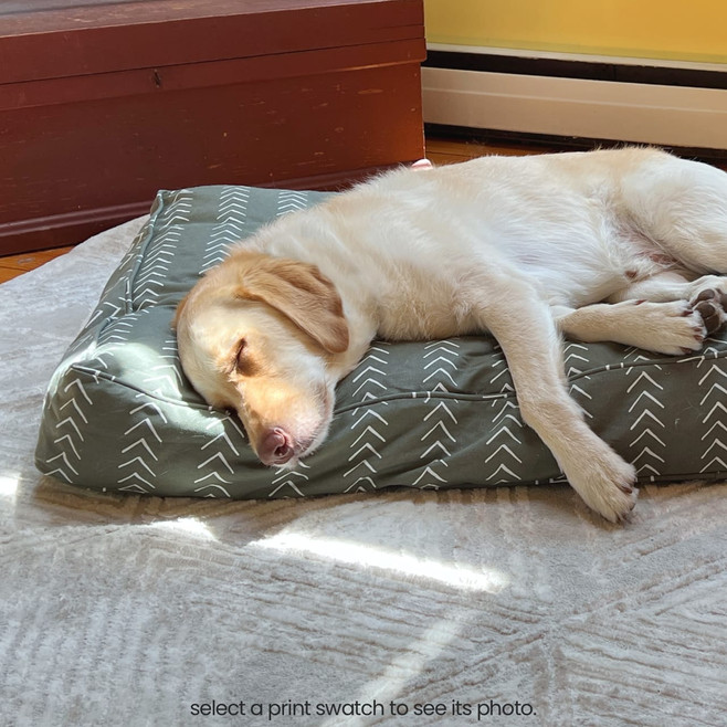 dog sleeping on a wool-filled dog bed