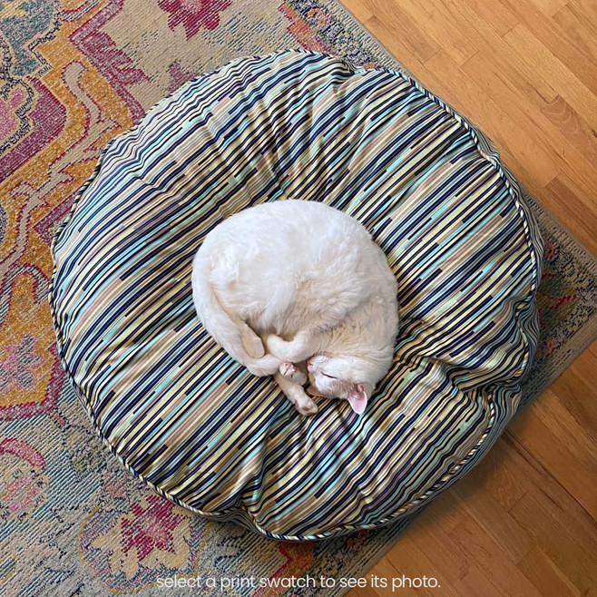 cat sleeping on a wool-filled dog bed
