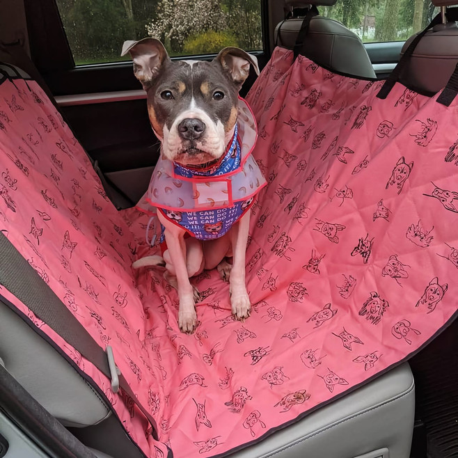 pink cadillac car seat cover