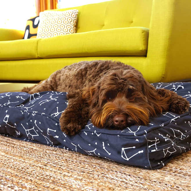 deep blue constellations dog bed cover deep blue constellations dog bed cover
