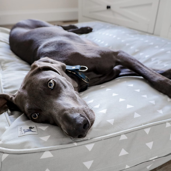 light gray dog bed cover