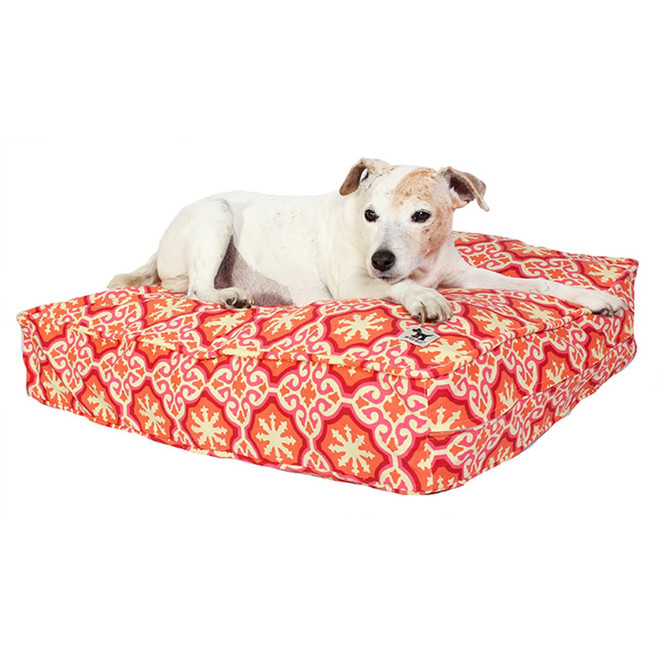white dog on a pink and orange dog bed