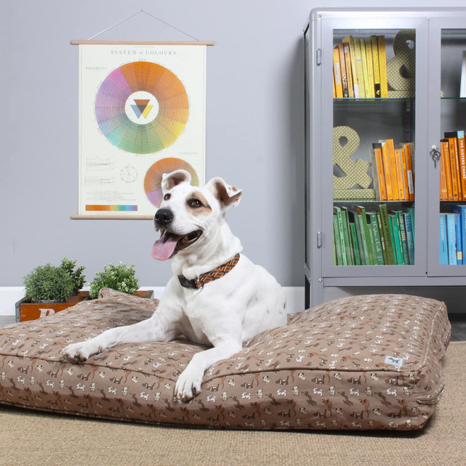 dog on a tan dog bed dog on a tan dog bed