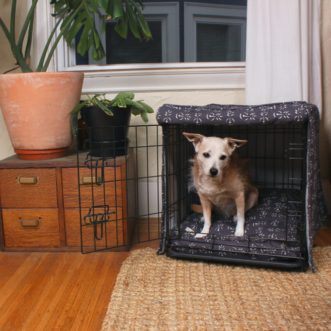dog in her crate