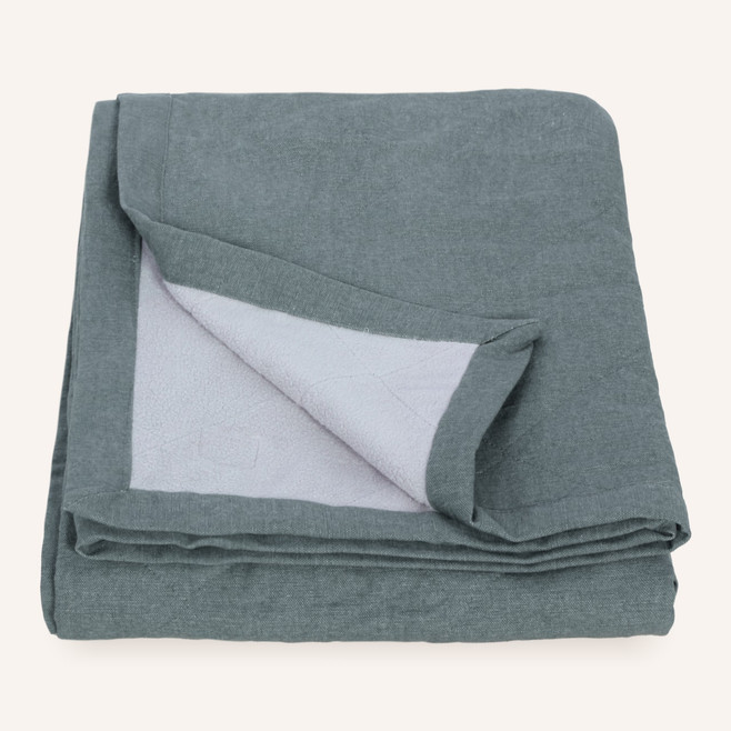 blue green organic pet blanket