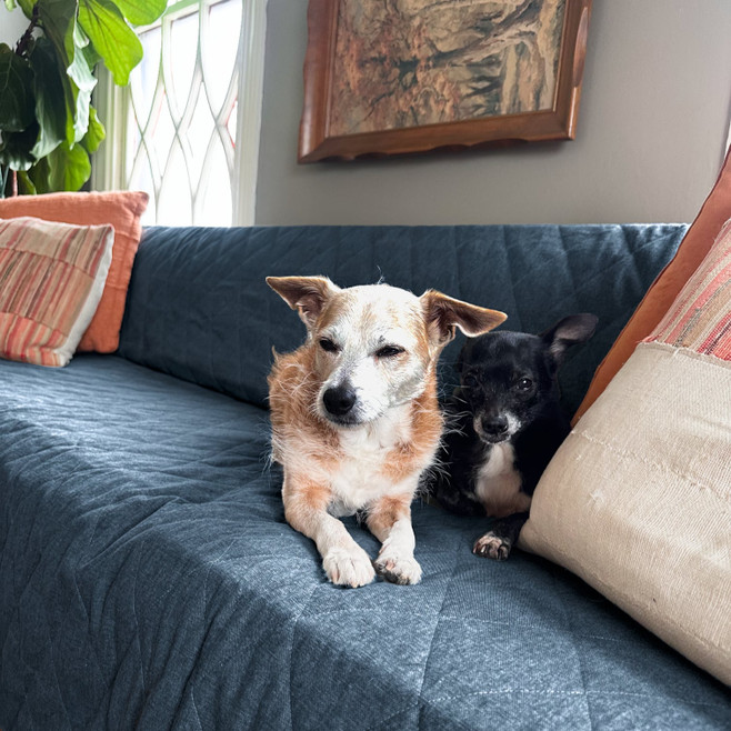 denim blue organic cotton couch cover