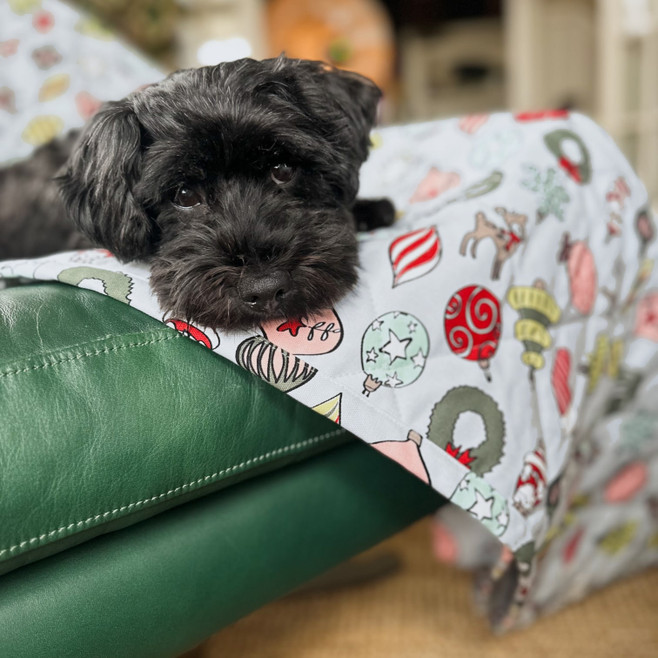 ode to joy holiday print blanket ode to joy holiday print blanket