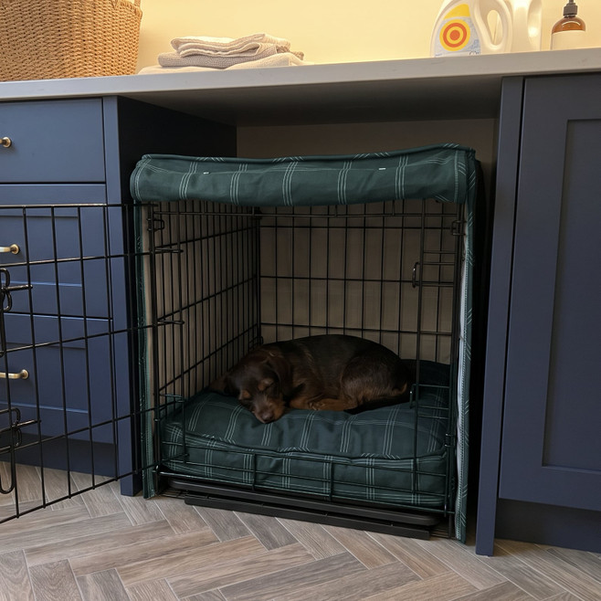 dog sleeping on a persephone crate pad