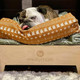 wooden elevated dog bed frame with a pillow pack