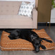 rust dog bed cover