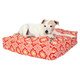 white dog on a pink and orange dog bed