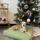 dog on a bed under a christmas tree