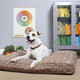 dog on a tan dog bed dog on a tan dog bed