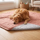 dog sleeping on a pink pet blanket
