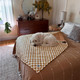 dog sleeping on a blanket