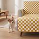 dog looking at the couch