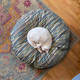 striped dog bed cover