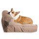 dog bed cover